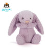 Jellycat 害羞系列 邦尼兔 风信子 31cm 商品缩略图2