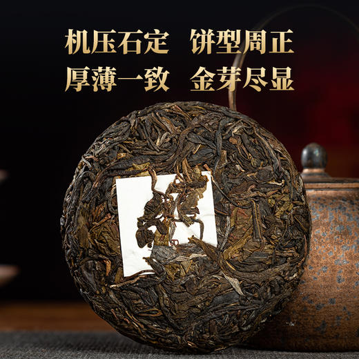 德丰昌生茶【明前春尖】100克 商品图2