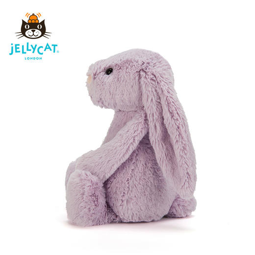 Jellycat 害羞系列 邦尼兔 风信子 31cm 商品图4