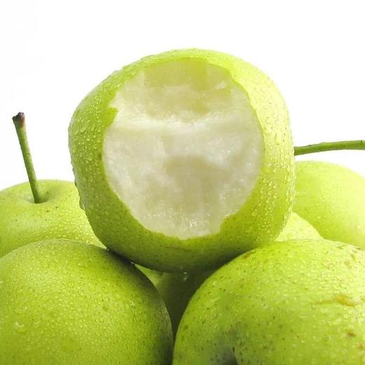 【每日食养】砀山皇冠梨5斤中果约10-12个 商品图4