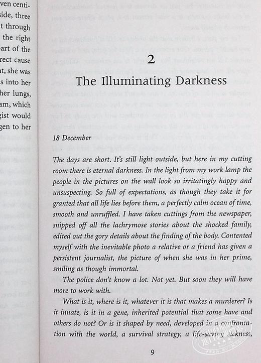 【中商原版】豹 英文原版 Leopard Jo Nesbo Vintage 英文小说 商品图8