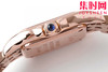卡地亚Panthère de Cartier猎豹系列腕表 小号22X30mm 商品缩略图4