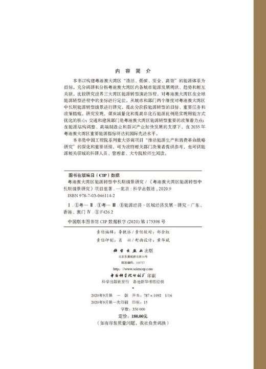粤港澳大湾区能源转型中长期情景研究 商品图2