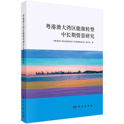 粤港澳大湾区能源转型中长期情景研究 商品图0