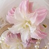 【莲花皇后重瓣百合】3头3支9朵/份 商品缩略图5