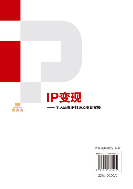 IP变现——个人品牌IP打造及变现实操 商品图1