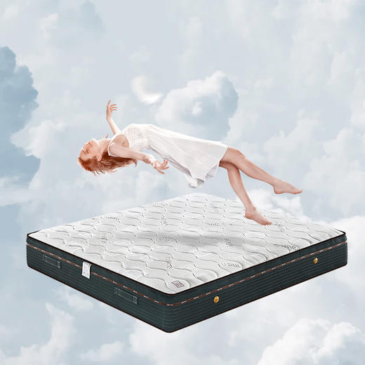 维也纳国际5.0 九代床垫 商品图4