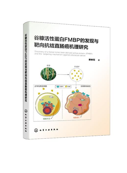 谷糠活性蛋白FMBP的发现与靶向抗结直肠癌机理研究 商品图0