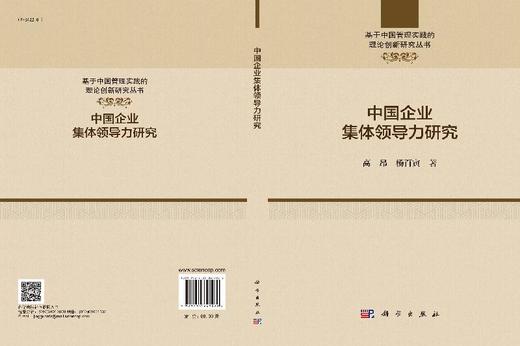 中国企业集体领导力研究 商品图3