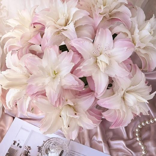 【莲花皇后重瓣百合】3头3支9朵/份 商品图3