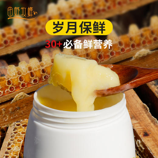 【礼盒装】田野牧蜂青之藏蜂王浆高活性鲜王浆蜜蜂蜂皇浆 商品图1