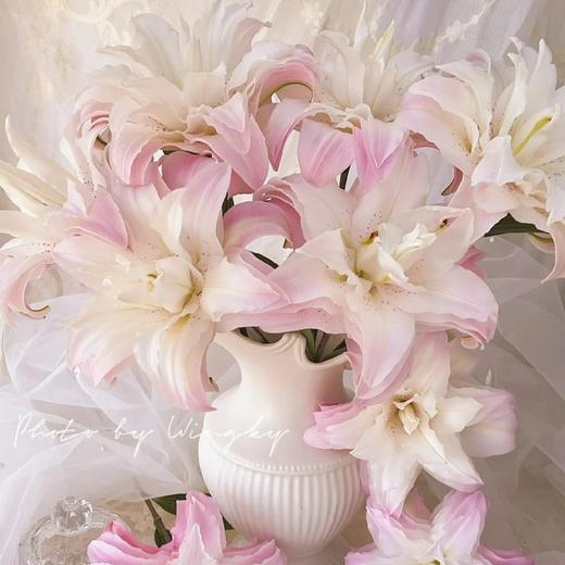 【莲花皇后重瓣百合】3头3支9朵/份 商品图4