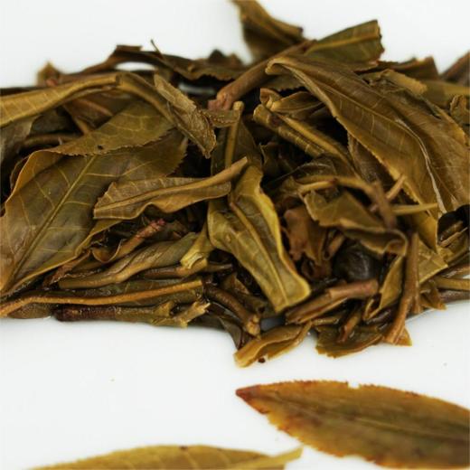 云南普洱茶2020年景迈头春生普200克/饼 商品图3