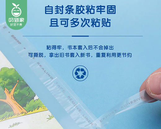 佳珩活动式书套套装（适用3-6年级）/1套（A4*4张+16K*12张+25K*1张+姓名贴*2张）补单专用 商品图4