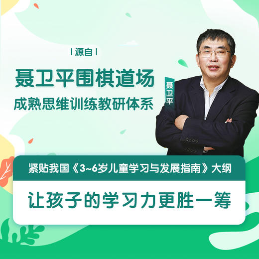 玩出来的学*力：给孩子的逻辑思维游戏书 发现篇 摩比爱数学 幼小衔接 思维训练 数学启蒙 聂卫平著 商品图2