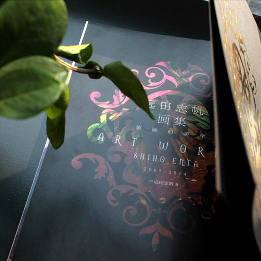 《远田志帆画集：装画的美学》感受日本装画界的领军人美丽透明的装画世界 商品图2