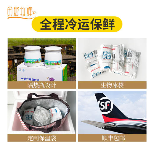 【礼盒装】田野牧蜂青之藏蜂王浆高活性鲜王浆蜜蜂蜂皇浆 商品图3