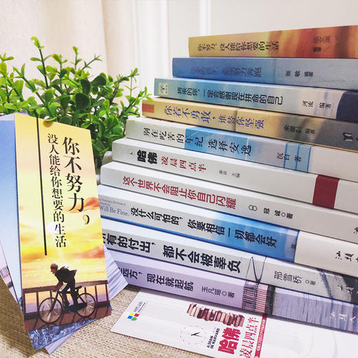 励志书籍10册你不努力没人能给你想要的生活谁也没伞的孩子必须努力奔跑别在吃苦的年纪你若不勇敢谁替你坚强青少年成长10本畅销书 商品图1
