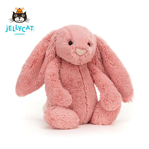 Jellycat 害羞系列 邦尼兔 花瓣 商品图1