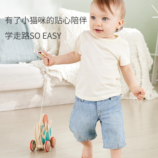 T hape     E0366    滚滚乐拖拉猫咪 商品图2