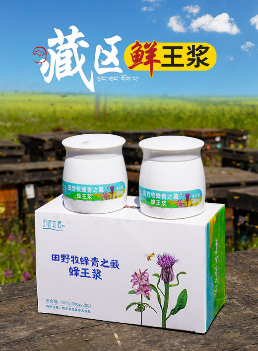 【礼盒装】田野牧蜂青之藏蜂王浆高活性鲜王浆蜜蜂蜂皇浆 商品图0