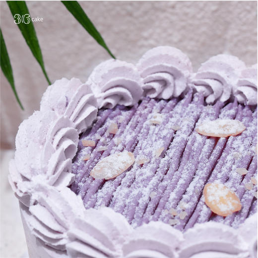 下架——迷你爆珠厚芋泥，可选4英寸 商品图3