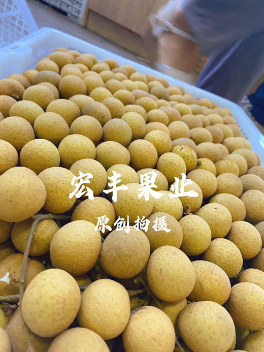【宏丰精选】泰国龙眼  核小肉厚  口感甜   活动价15.8元一斤 商品图8