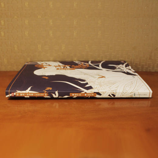 人气作品《哑舍》线稿画集《丹青卷》细节还原近百幅精美的插画线稿 商品图4