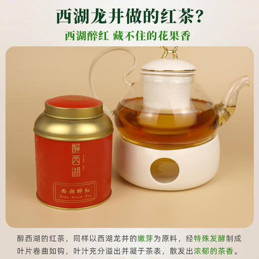 醉西湖2024西湖醉红龙井红茶 礼盒/手工包/品鉴装 商品图1