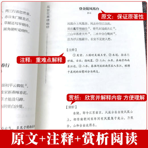 飞花令里读诗词全套3册唐诗宋词全集正版鉴赏辞典赏析中国文学古典浪漫诗词大会书籍 原文注释宋词三百首中小学生国学经典课外书籍 商品图1