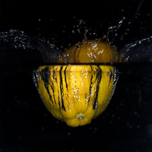 永诺 YN24EX 微距环形闪光灯口腔环闪灯双灯头  支持自动测光 商品图3