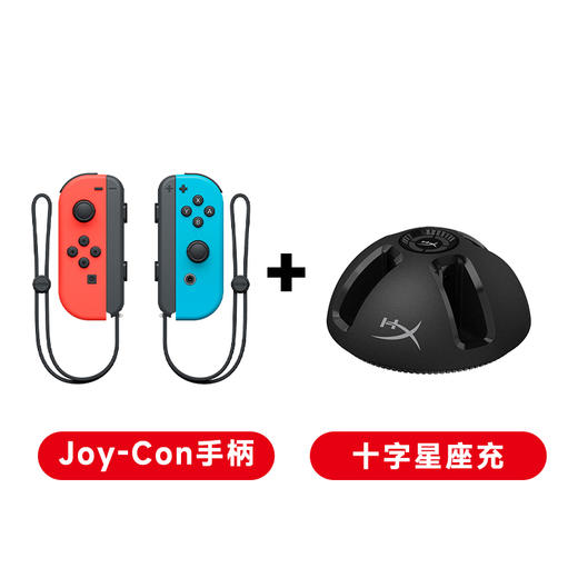 Switch 手柄·双人套装 商品图0