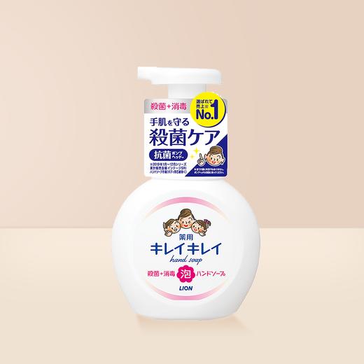 泡沫按压式洗手液 250ml*2瓶（多香型可选） 商品图0