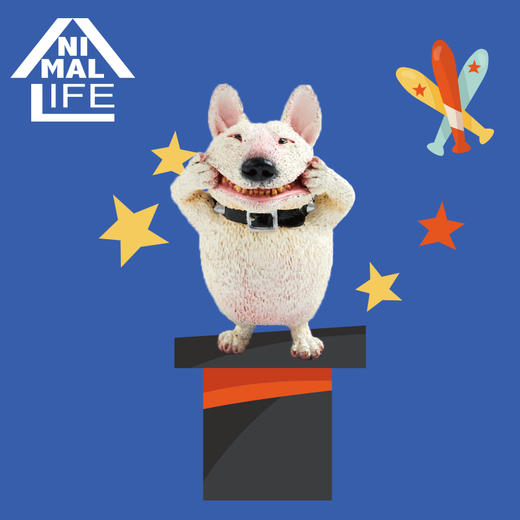 T 5折特价盲盒  10615    Animal Life 笑嘻嘻第二弹 商品图1