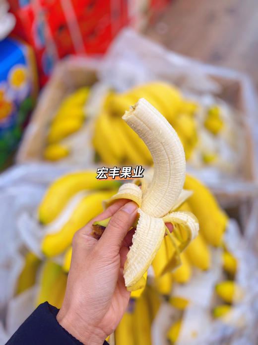宏丰精选 品牌进口香蕉  甜香蕉 软糯甜，活动价4.8元一斤 商品图2