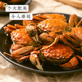 【肉质饱满  蟹黄丰腴】双壳熟醉蟹550g/罐*1罐