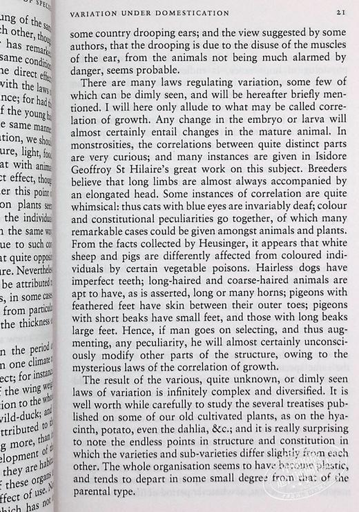 预售 【中商原版】达尔文：物种起源 英文原版 On the Origin of Species Charles Darwin 商品图7