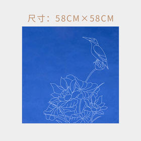 双面智能粘贴，小翠&斑鱼狗&太阳鸟百贴布 保护你的摄影器材