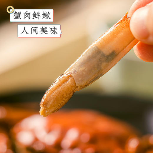 【肉质饱满  蟹黄丰腴】双壳熟醉蟹550g/罐*1罐 商品图2