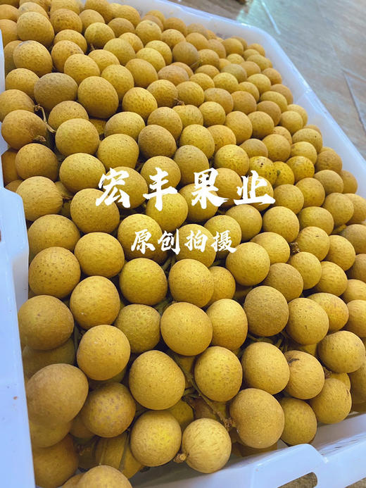 【宏丰精选】泰国龙眼  核小肉厚  口感甜   活动价15.8元一斤 商品图4