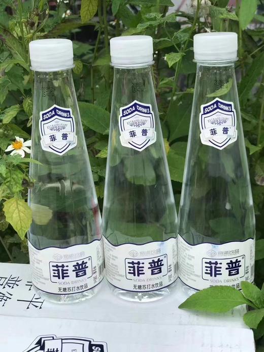 菲普无糖苏打水390ml香柠/原味 商品图0