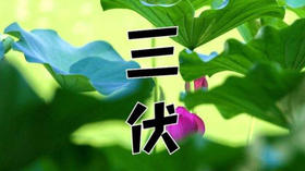 三伏天养生有“10忌”，注意这几点，病痛不缠身！ 