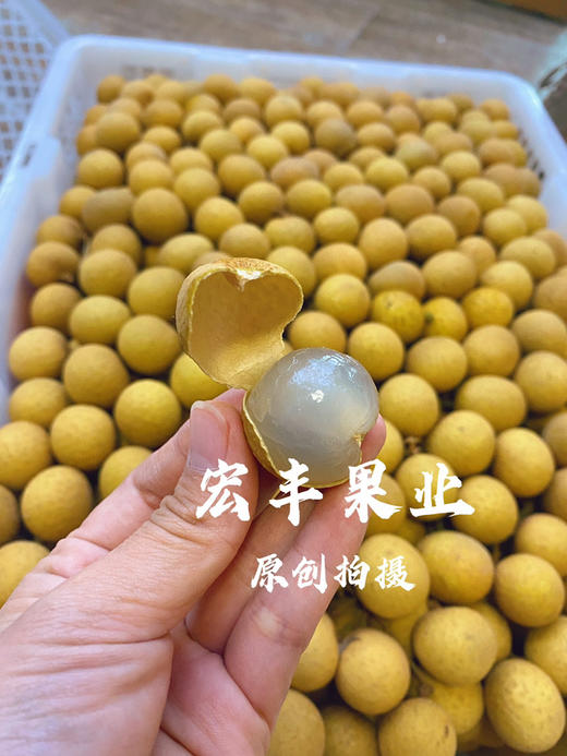 【宏丰精选】泰国龙眼  核小肉厚  口感甜   活动价15.8元一斤 商品图5