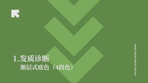 香风9-78高级雾感棕调色号 PART1 商品图0