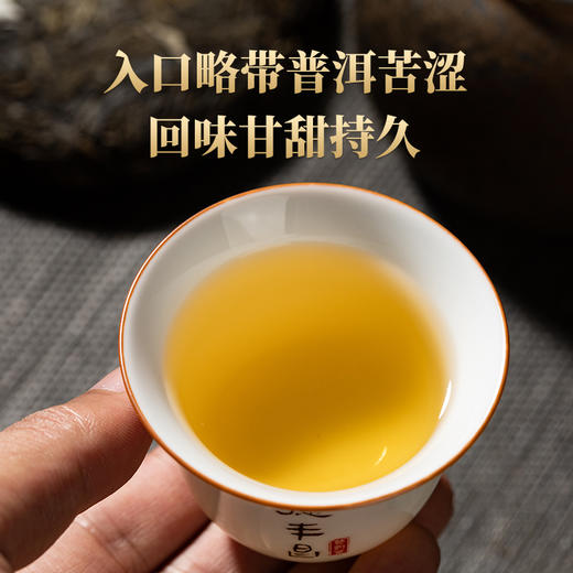 德丰昌生茶【明前春尖】100克 商品图5