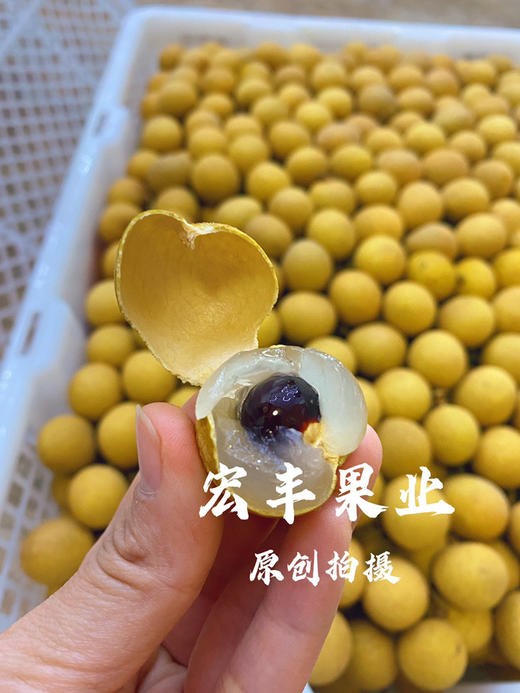 【宏丰精选】泰国龙眼  核小肉厚  口感甜   活动价15.8元一斤 商品图6