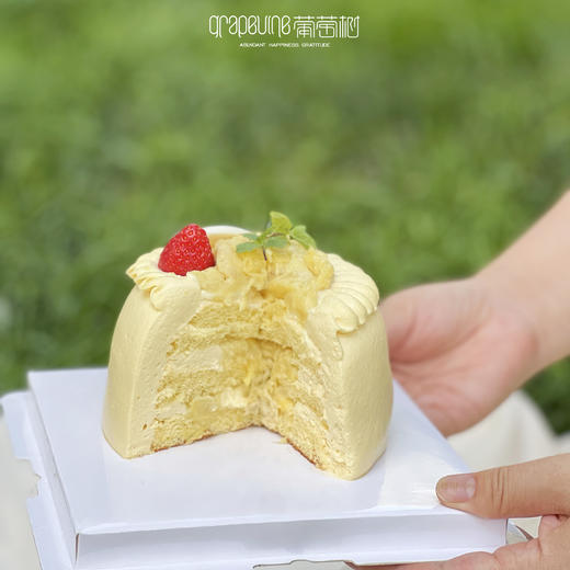 6寸榴芒炸弹 商品图3