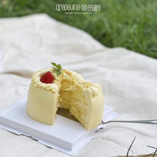 6寸榴芒炸弹 商品图2