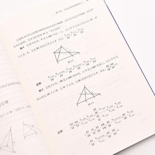 仁者wu敌面积法：巧思妙解学几何 张景中院士数学科普 几何思维 数学 简史 几何 代数 微积分 概率 商品图8