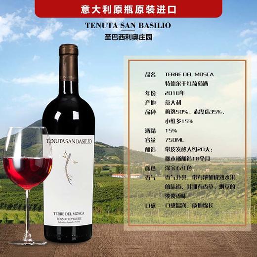 一箱 意大利特德尔干红葡萄酒 750ML 酒精度15% 原瓶原装进口 商品图2